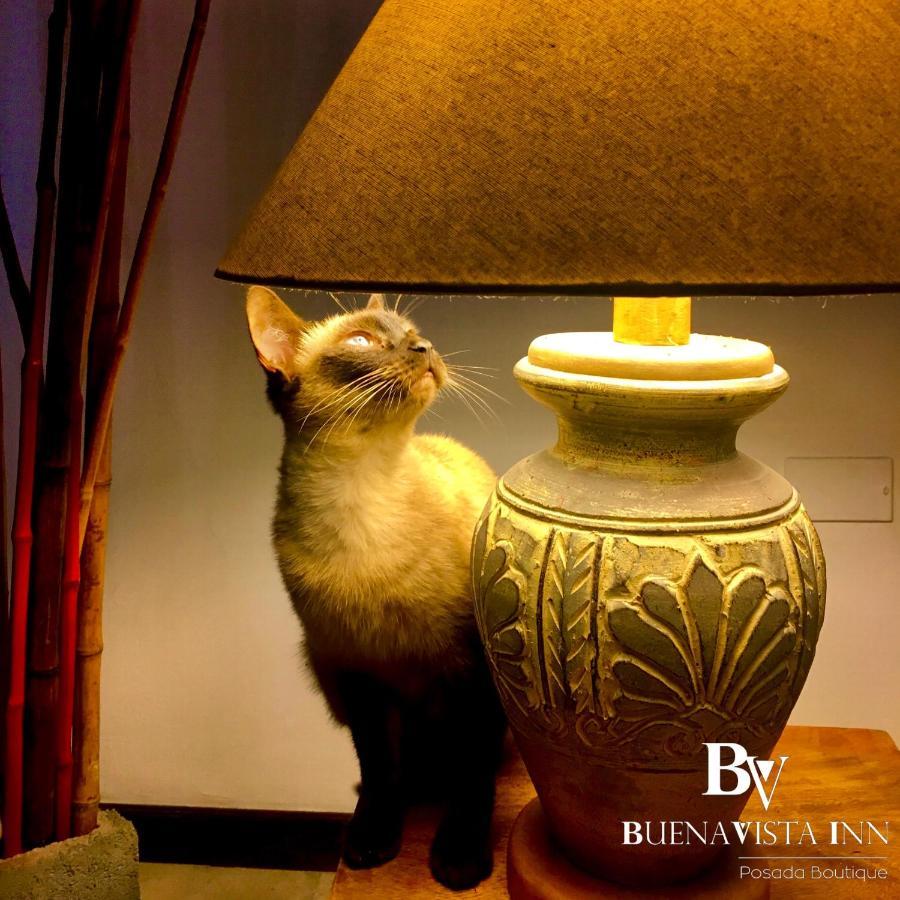 Buenavista Inn مايكيتيا المظهر الخارجي الصورة