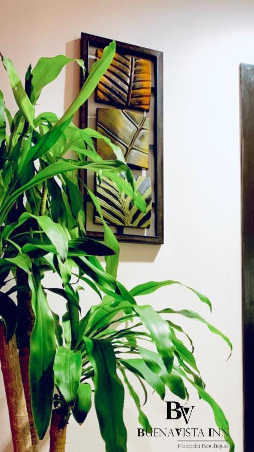 Buenavista Inn مايكيتيا المظهر الخارجي الصورة